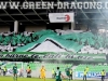 green-dragons2