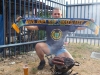 ultras-kosice4